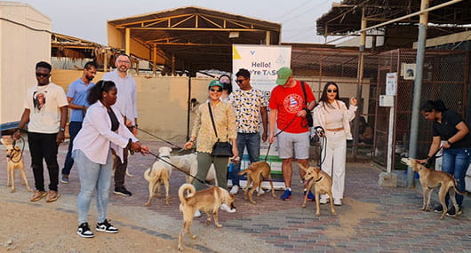 Stray Dogs Centre – Umm Al Quwain
