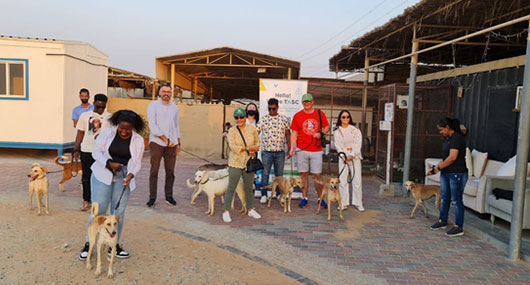 Stray Dogs Centre – Umm Al Quwain